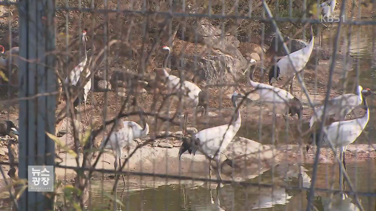 서울대공원 AI 정밀검사 결과 오늘 발표