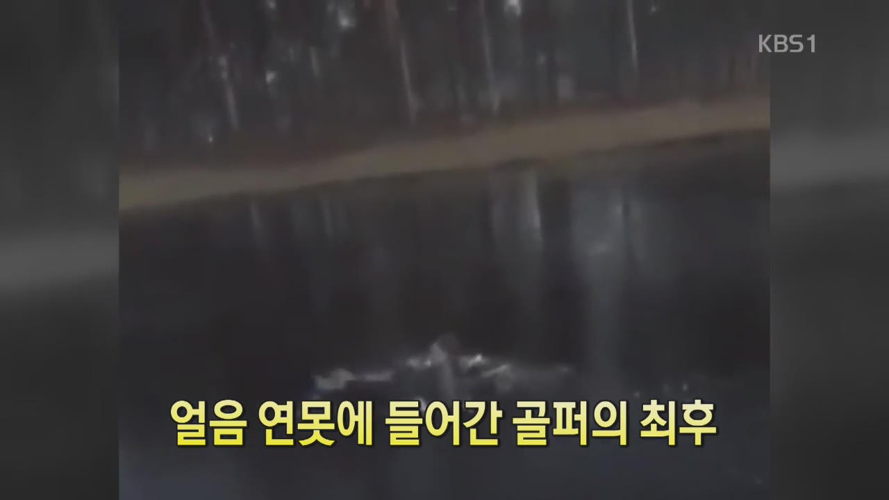 [디지털 광장] 얼음 연못에 들어간 골퍼의 최후    