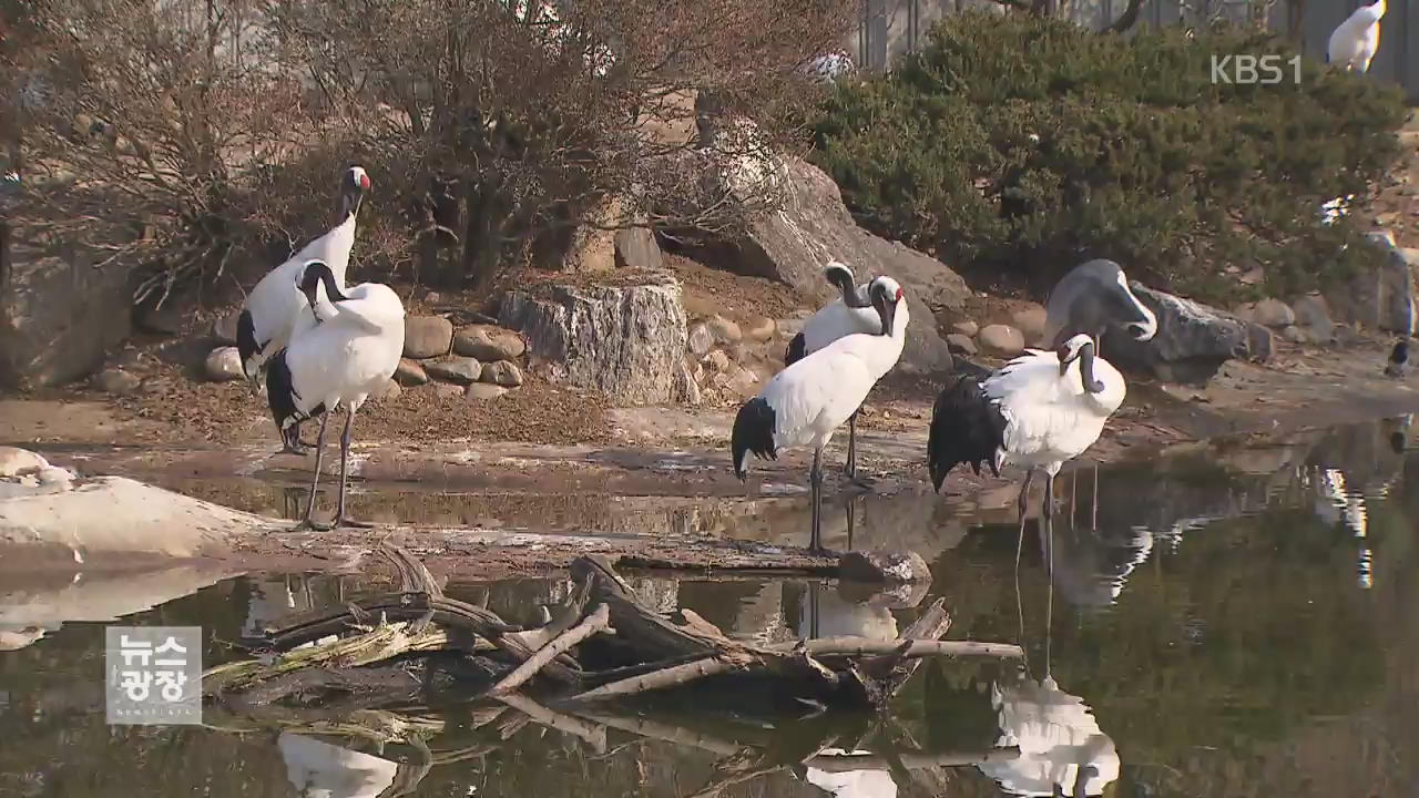 서울대공원 AI 정밀검사 결과 오늘 발표