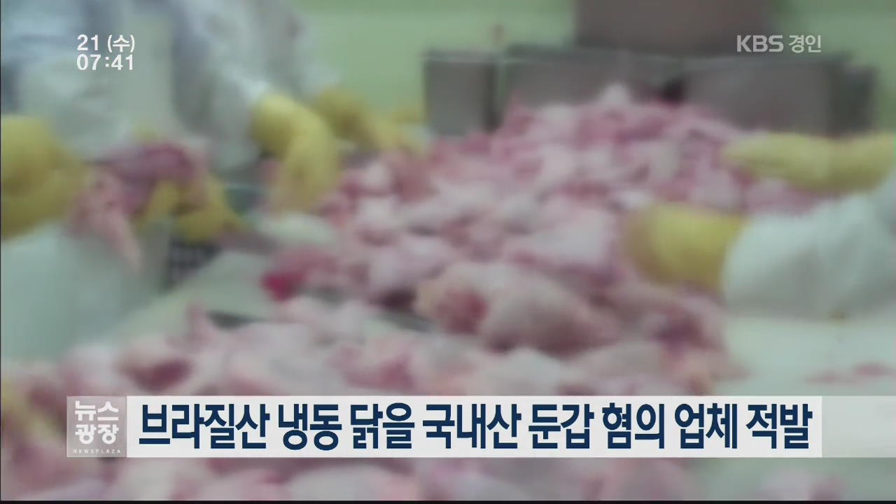 브라질산 냉동 닭을 국내산 둔갑 혐의 업체 적발