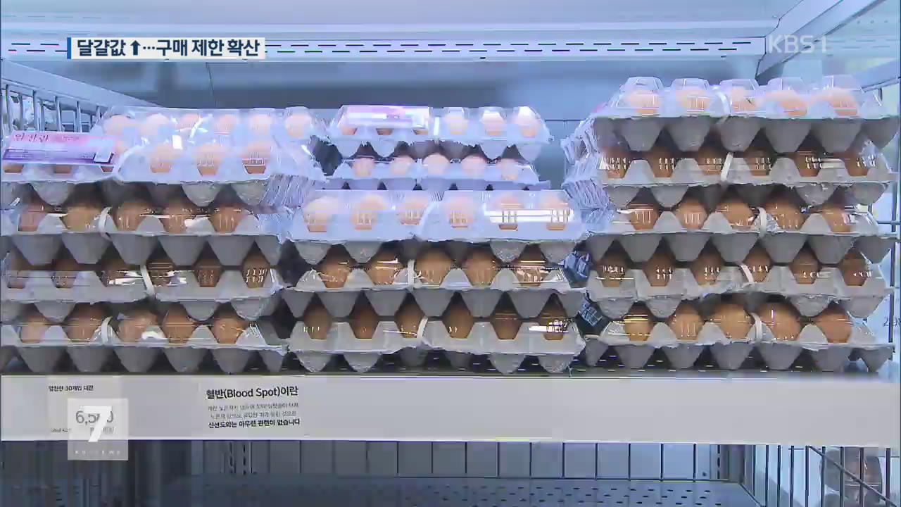  AI 매몰 2천만 마리 넘어…달걀 구매제한 확산
