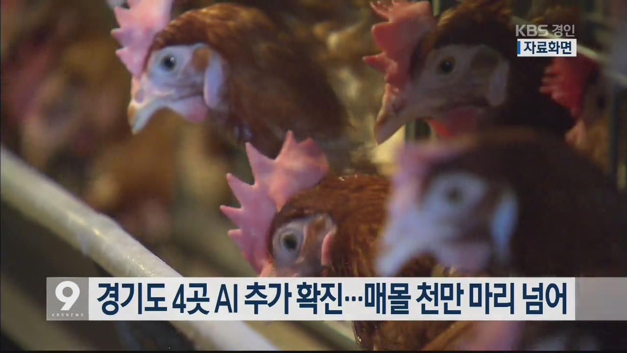 경기도 4곳 AI 추가 확진…매몰 천만 마리 넘어