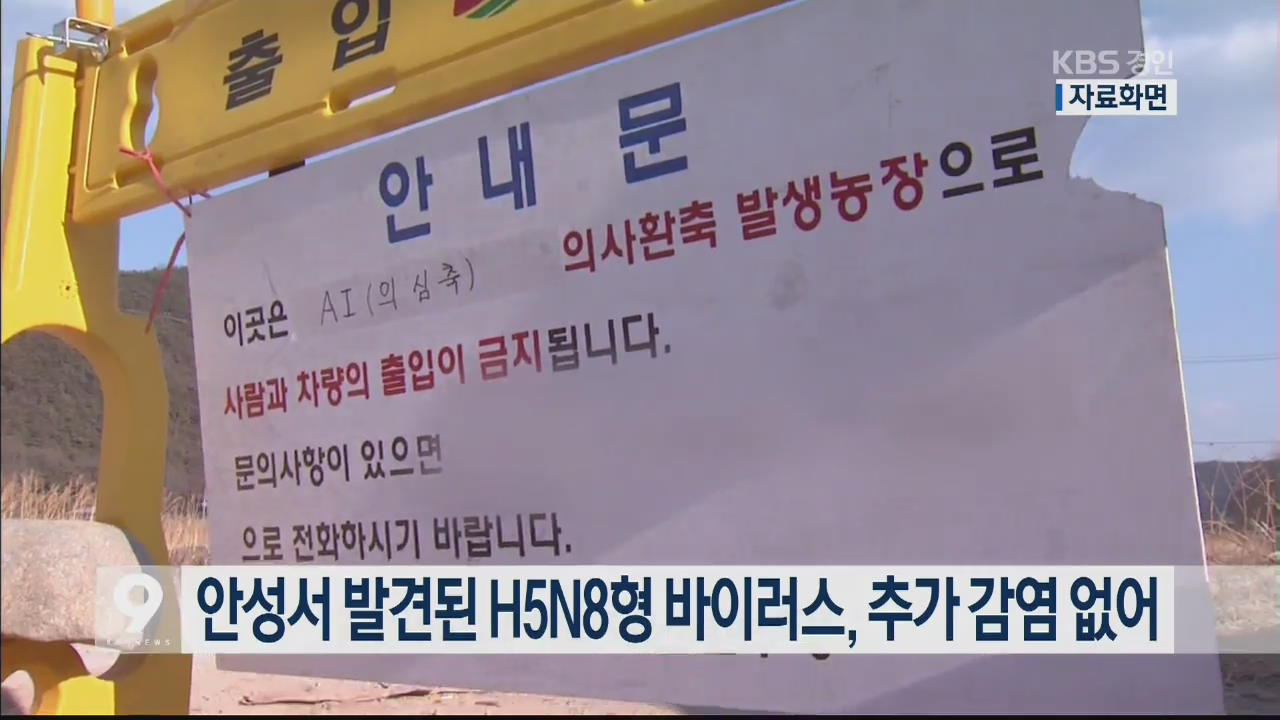 안성서 발견된 H5N8형 바이러스, 추가 감염 없어