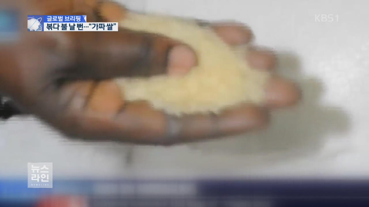 [글로벌 브리핑] 플라스틱처럼 녹는 쌀…“중국산 의심”