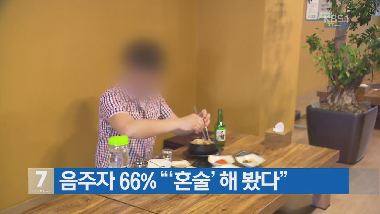 음주자 66% “‘혼술’ 해 봤다”