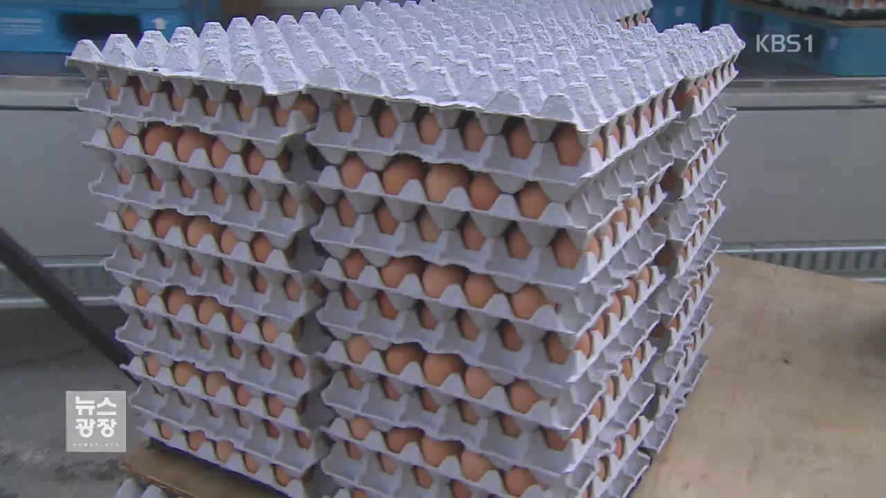‘달걀 대란’…사재기 단속·액란 수입 확대