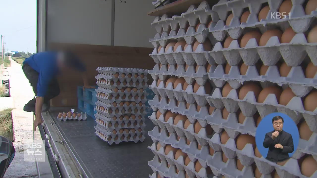 ‘달걀 대란’…사재기 단속·액란 수입 확대