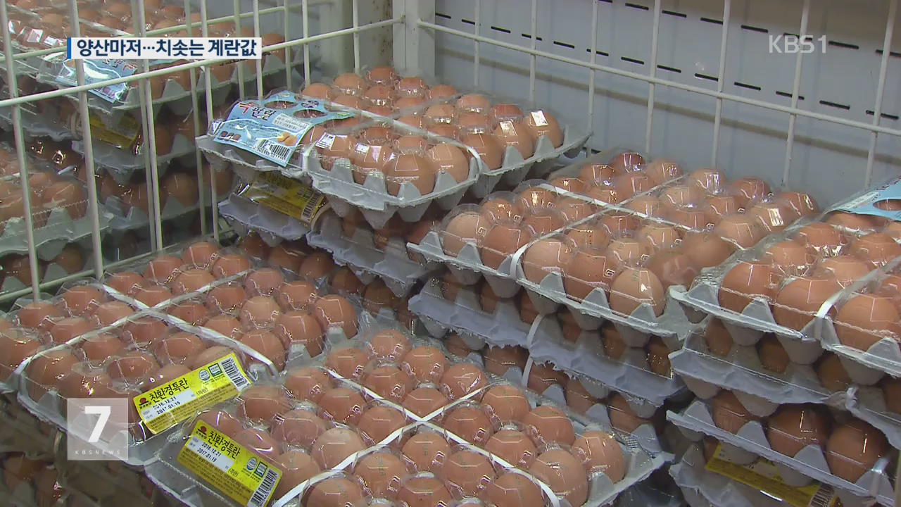 ‘산란계 농장’ 양산도 뚫렸다…치솟는 달걀값