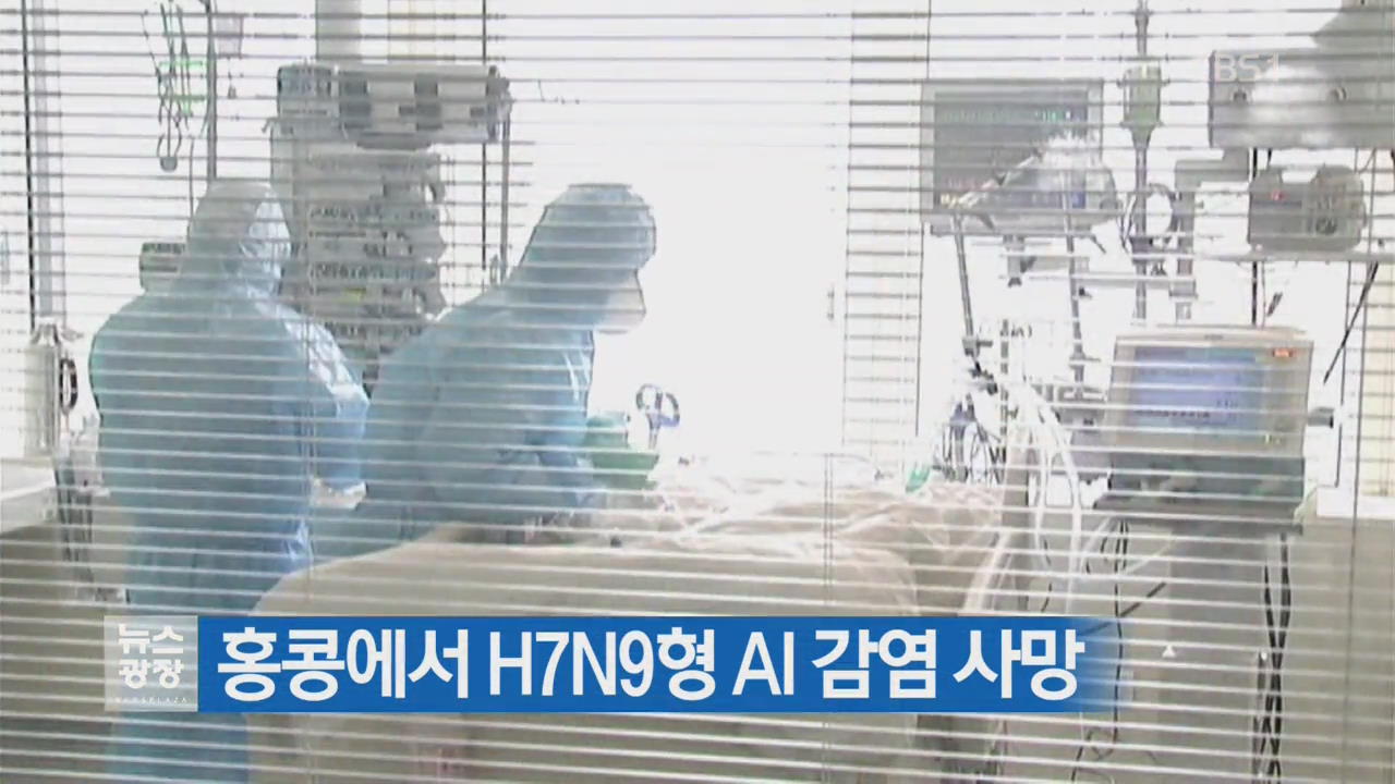 홍콩에서 H7N9형 AI 감염 사망