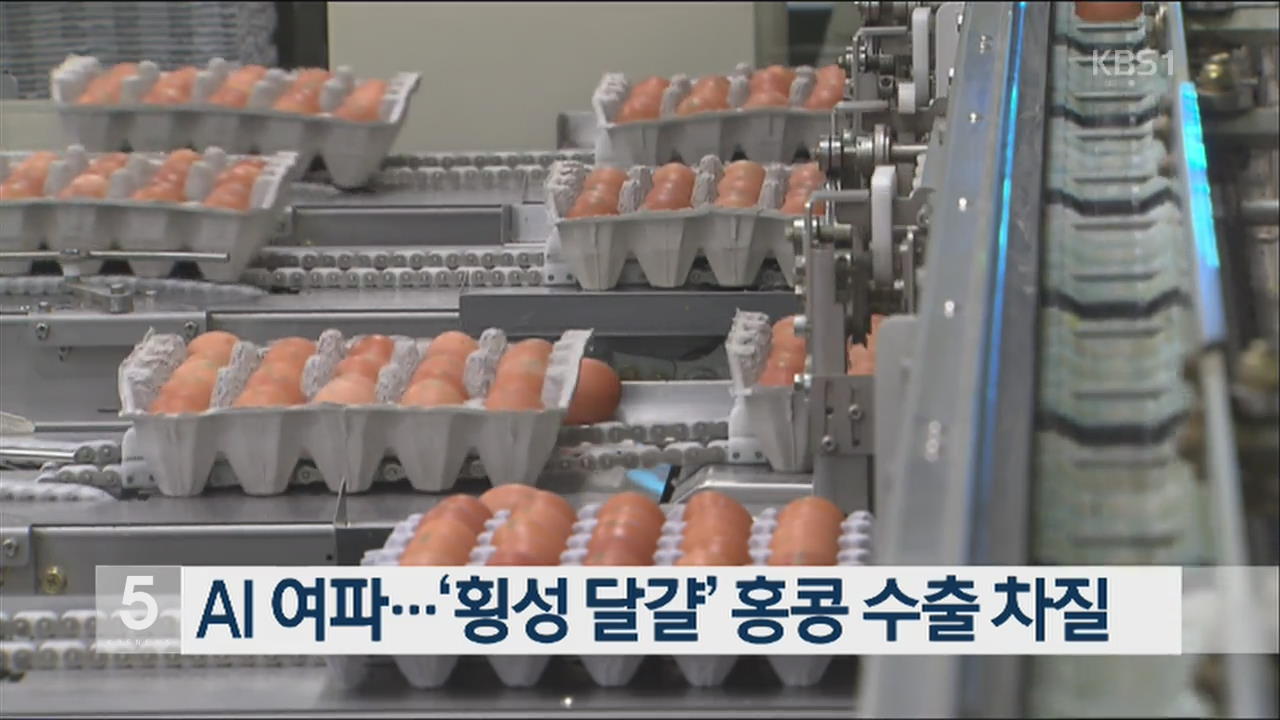AI 여파…‘횡성 달걀’ 홍콩 수출 차질