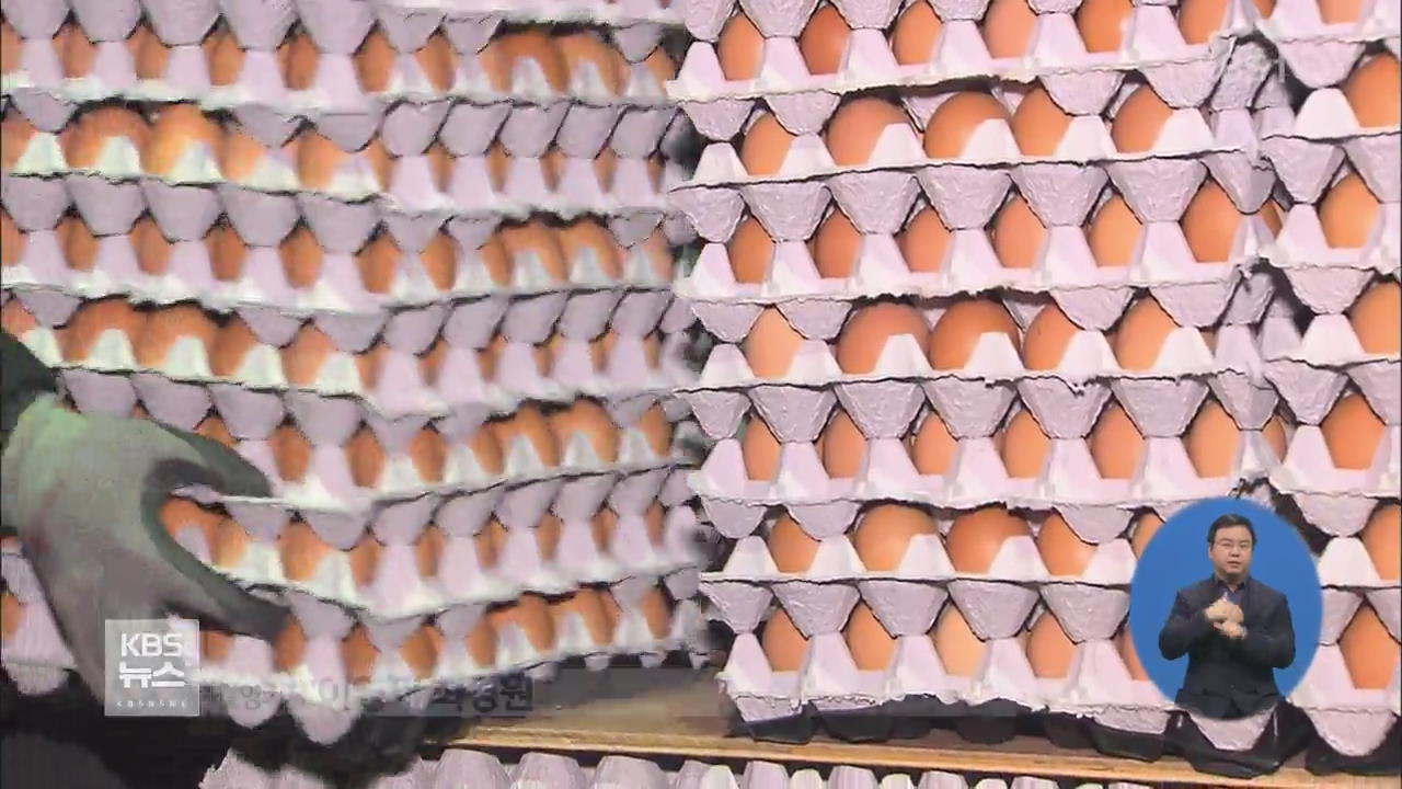 달걀값 역대 최고…수입 설명회 열렸지만