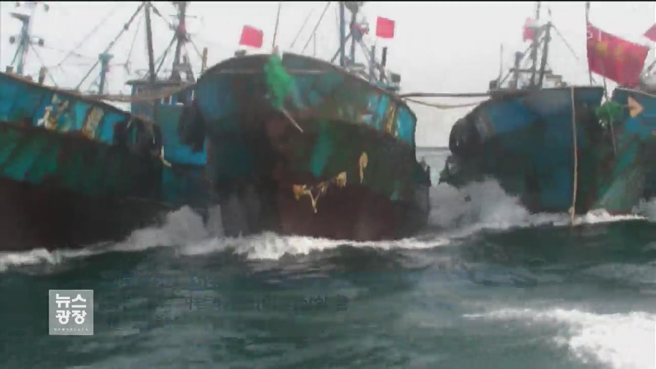 쇠창살 꽂은 중국 어선, 즉각 처벌