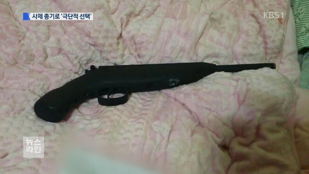 사제 총기로 극단적 선택까지…대책 시급