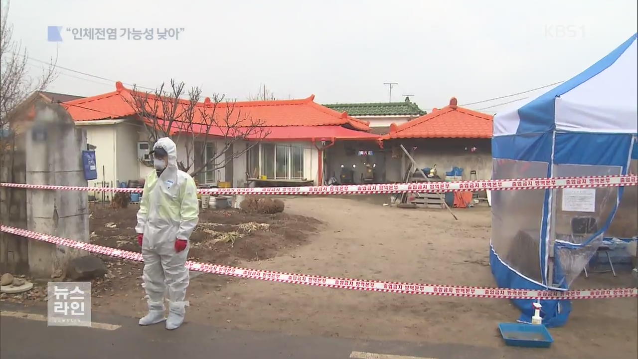 개 2마리 AI 검사…“인체 감염 위험 낮아”