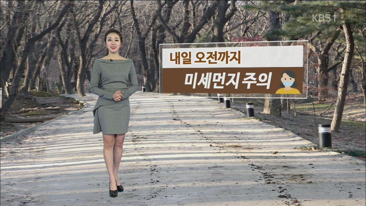 내일 오전까지 미세먼지 주의