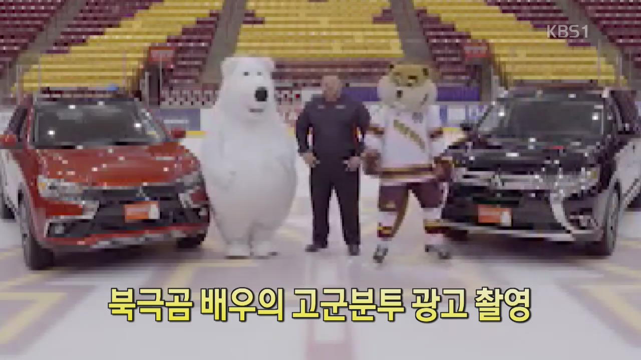 [디지털 광장] 북극곰 배우의 고군분투 광고 촬영