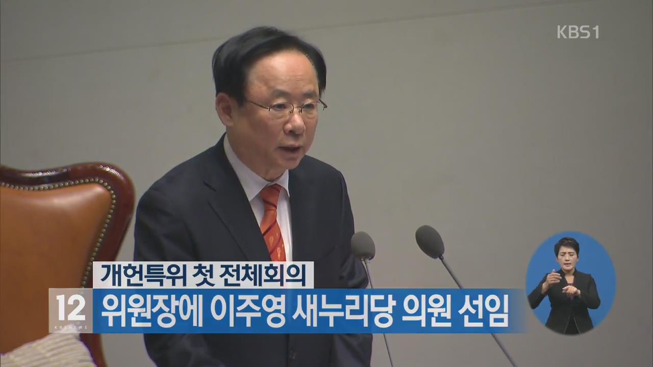 개헌특위 첫 전체회의, 위원장에 이주영 새누리당 의원 선임