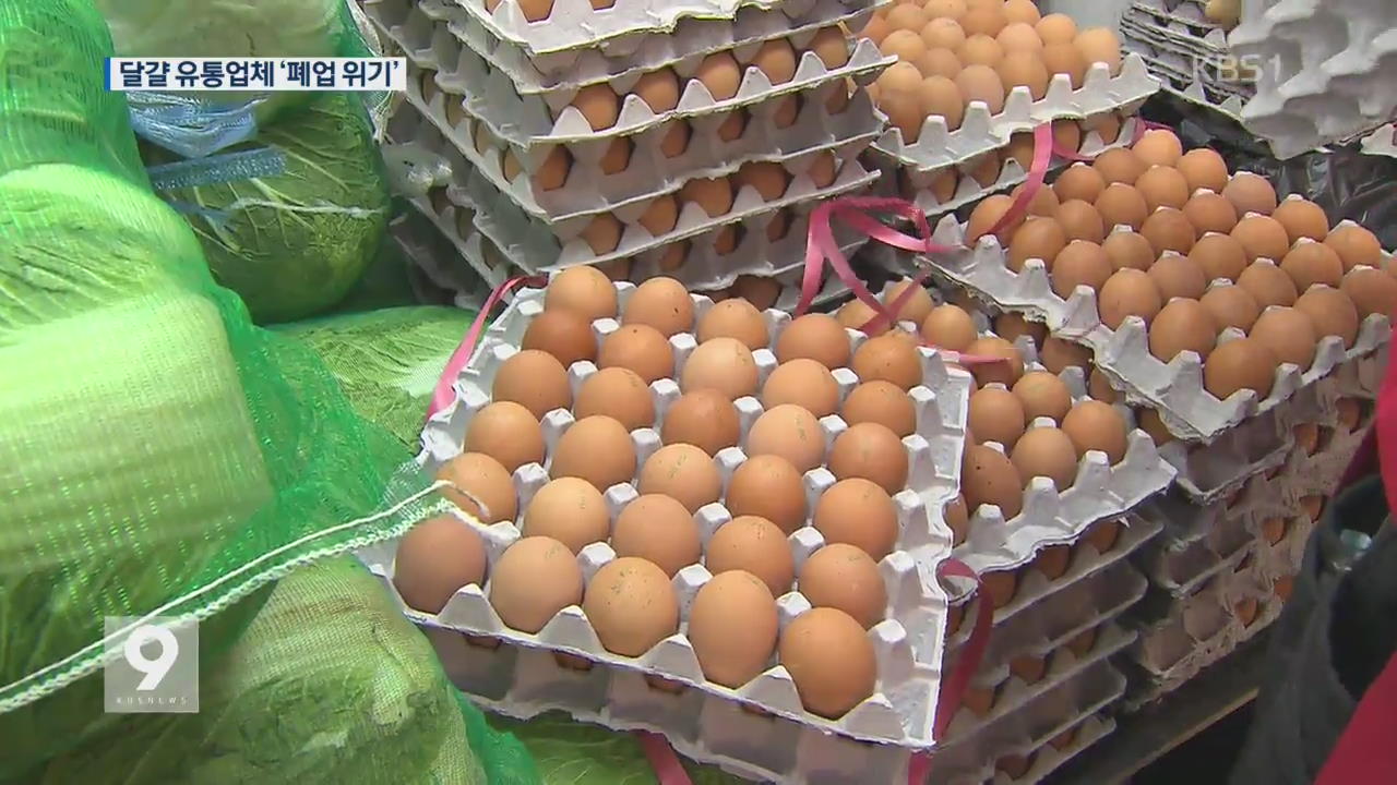 “달걀 못 구해”…영세 유통업체 폐업 위기