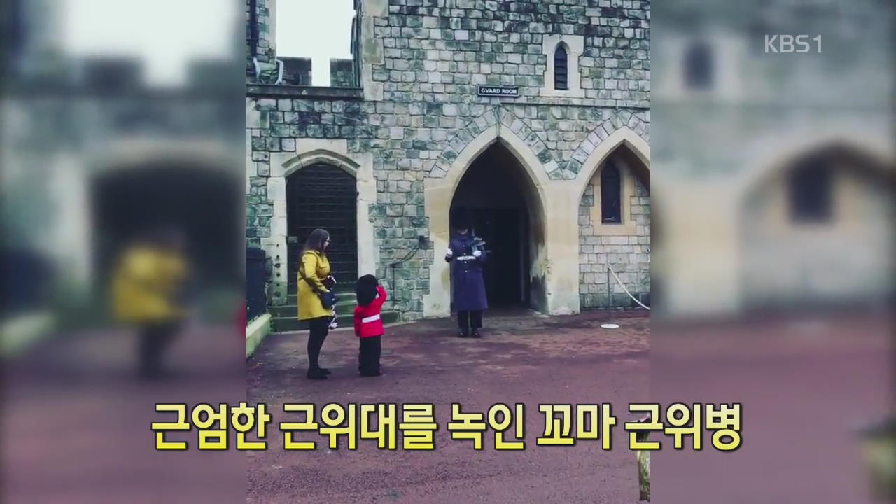 [디지털 광장] 근엄한 근위대를 녹인 꼬마 근위병