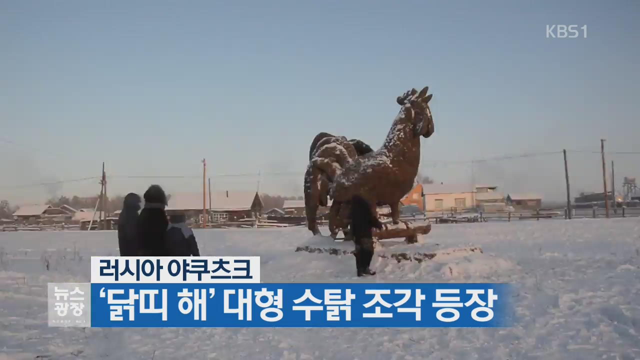 [지금 세계는] 러시아, ‘닭띠 해’ 대형 수탉 조각 등장
