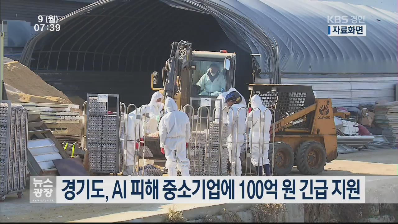 경기도, AI 피해 중소기업에 100억 원 긴급 지원