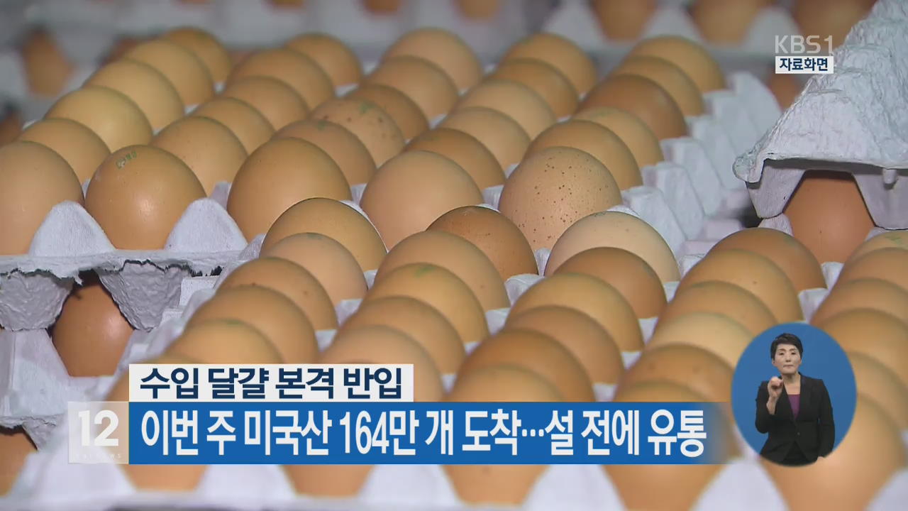 수입 달걀 본격 반입, 이번 주 미국산 164만 개 도착…설 전에 유통