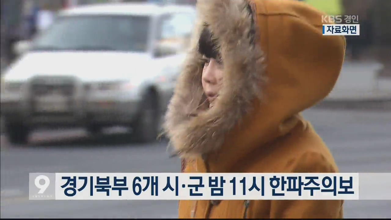 경기북부 6개 시·군 밤 11시 한파주의보