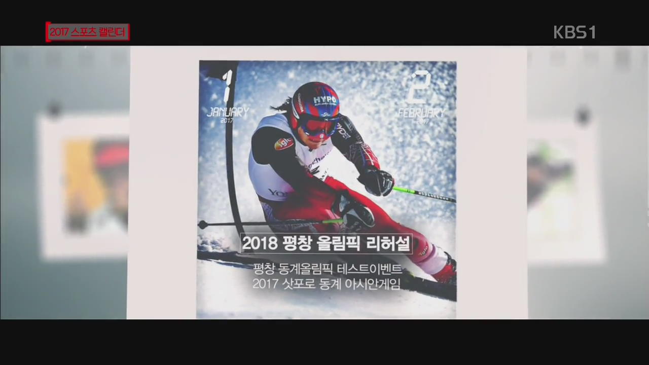 2017 스포츠 캘린더