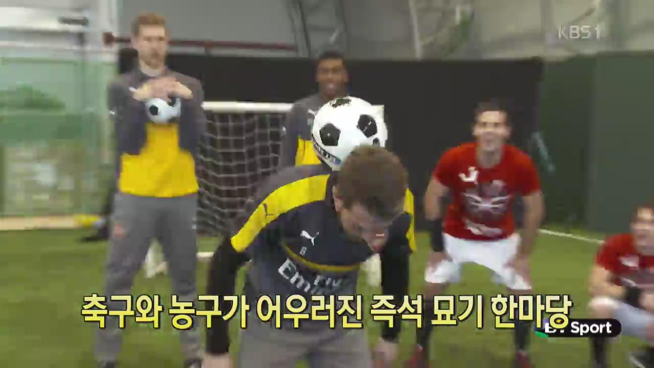[디지털 광장] 축구와 농구가 어우러진 즉석 묘기 한 마당