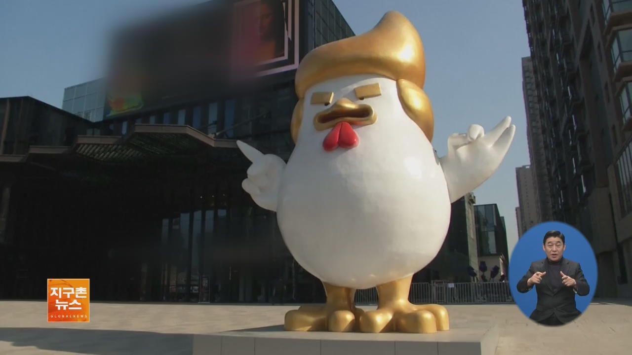 [지구촌 화제 영상] 중국서 트럼프 닮은 닭 모양 조형물 인기