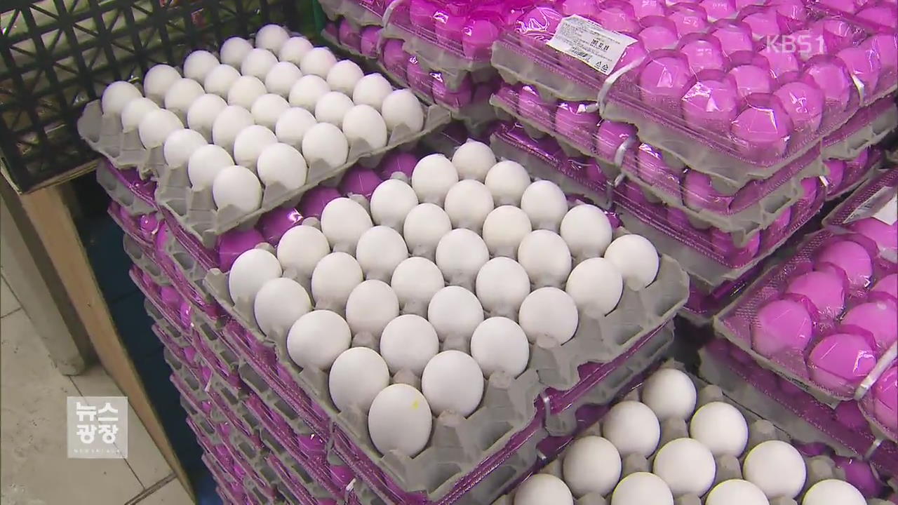 미국산 달걀 판매 시작…오늘부터 본격 유통