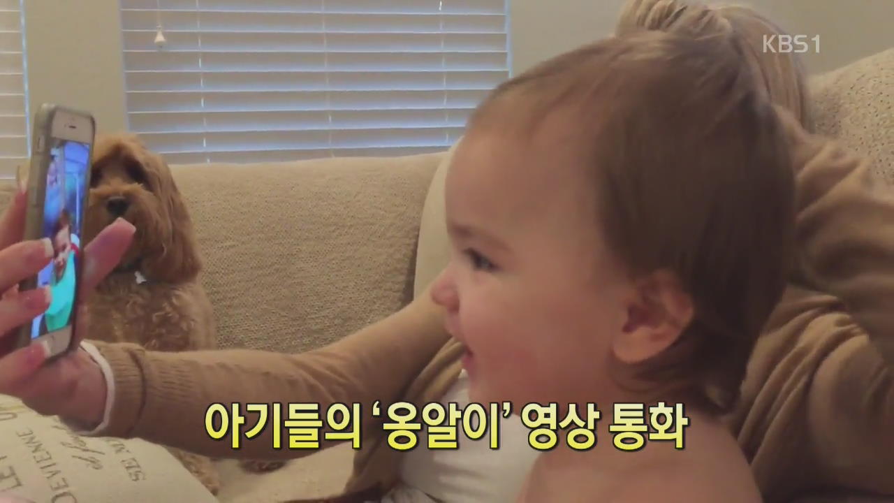 [디지털 광장] 아기들의 ‘옹알이’ 영상 통화