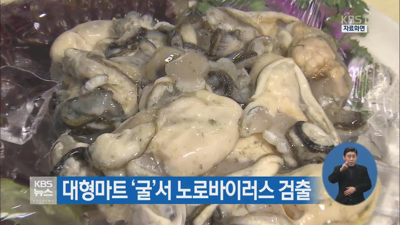 대형마트 ‘굴’서 노로바이러스 검출
