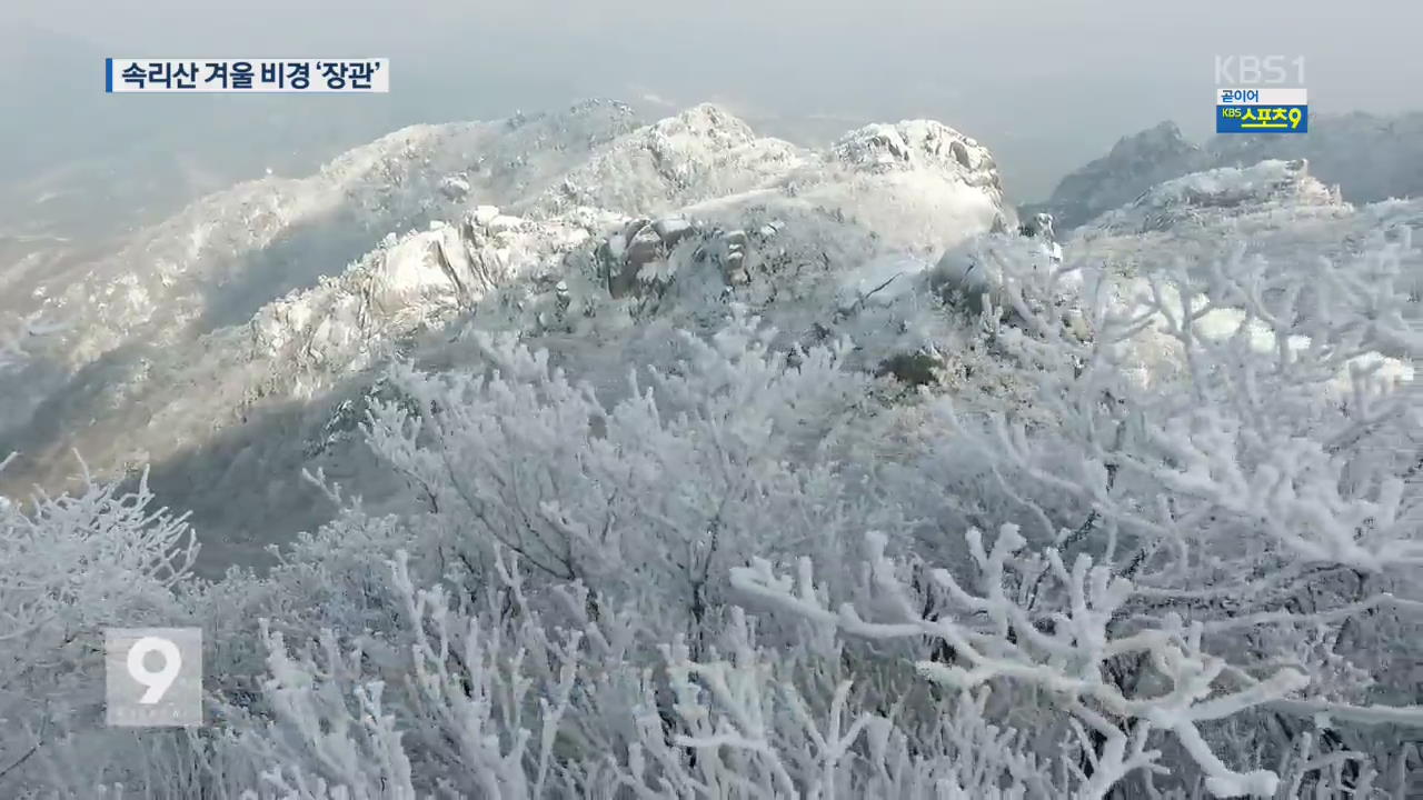 속리산 겨울 비경…상고대·눈꽃 장관