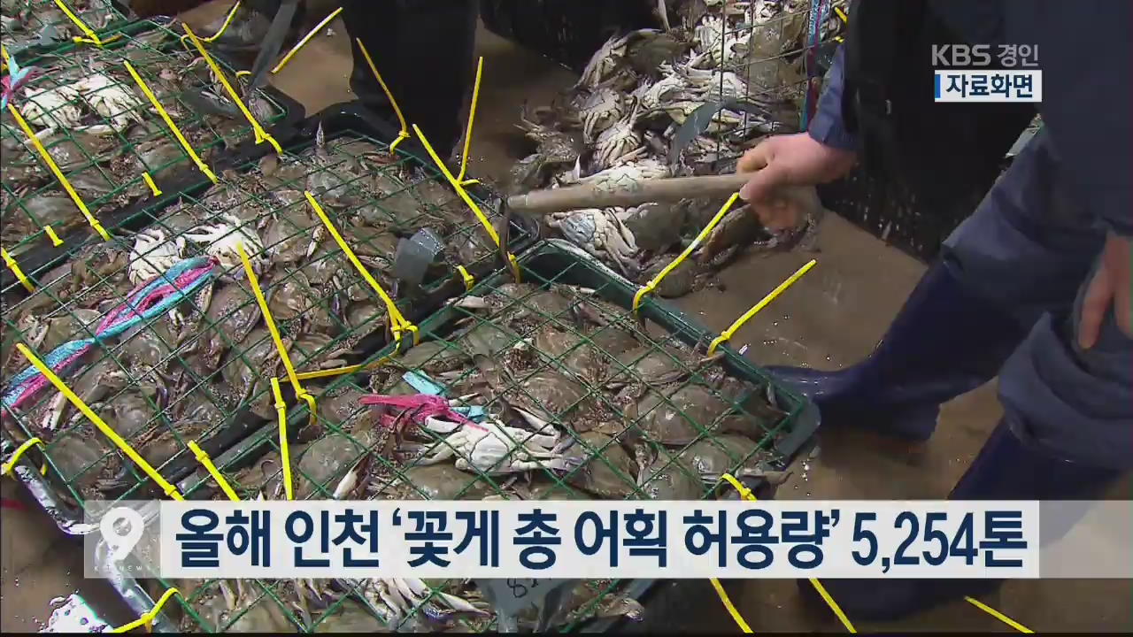 올해 인천 ‘꽃게 총 어획 허용량’ 5,254톤