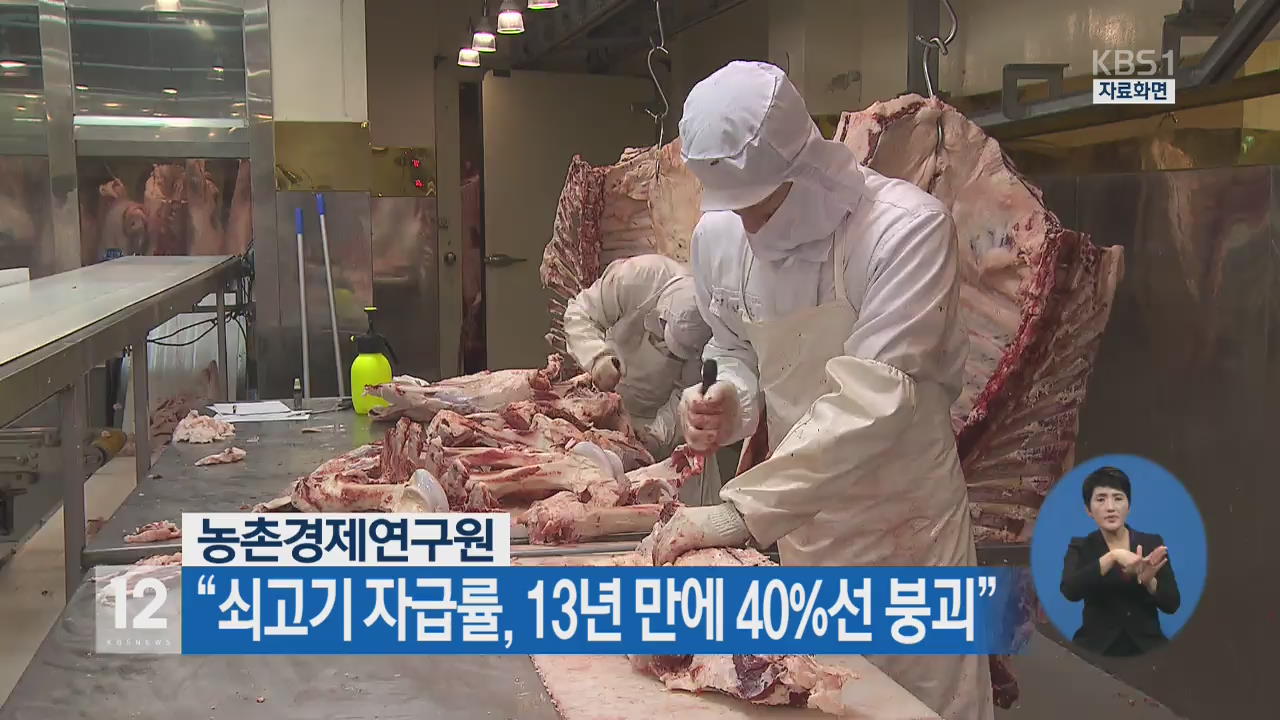 “쇠고기 자급률, 13년 만에 40%선 붕괴”