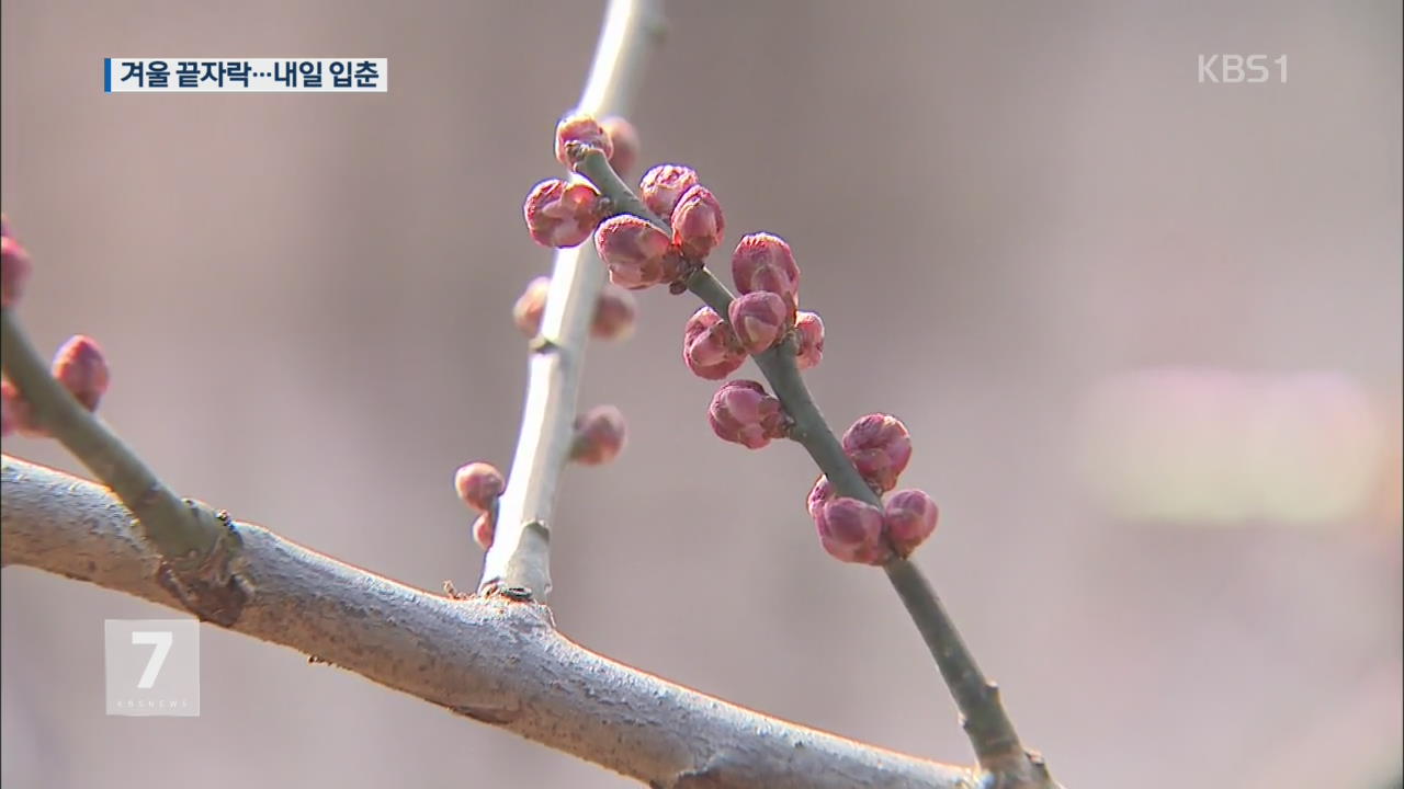 내일 ‘입춘’…겨울 끝자락서 봄기운 성큼