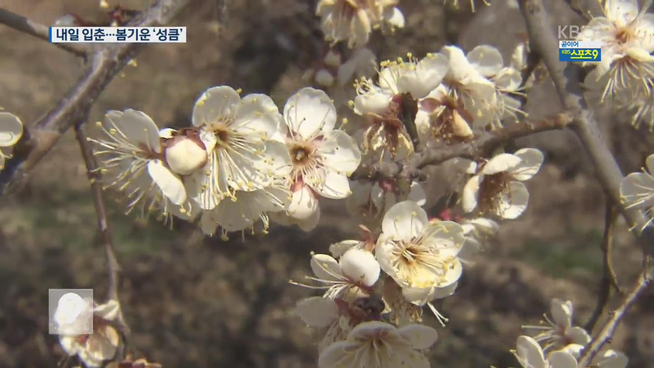 내일 입춘…들녘에 찾아온 봄소식