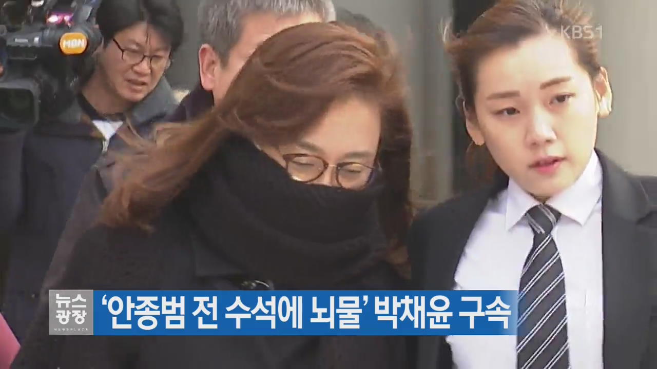 ‘안종범 전 수석에 뇌물’ 박채윤 구속
