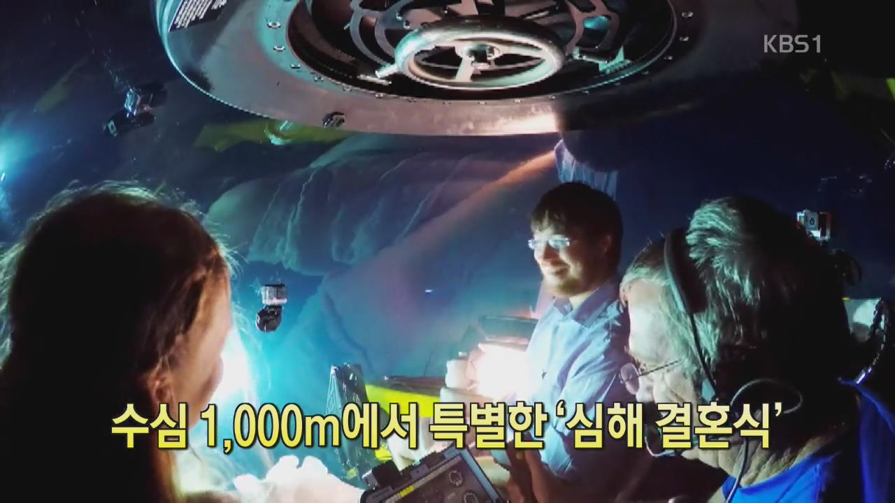 [세상의 창] 수심 1,000m에서 특별한 ‘심해 결혼식’