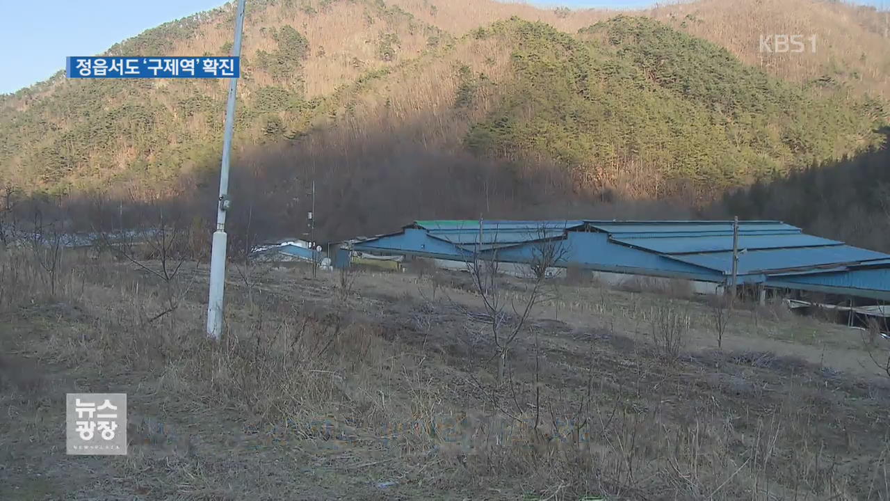 전북 정읍도 ‘구제역’ 확진…농장 주변 통제