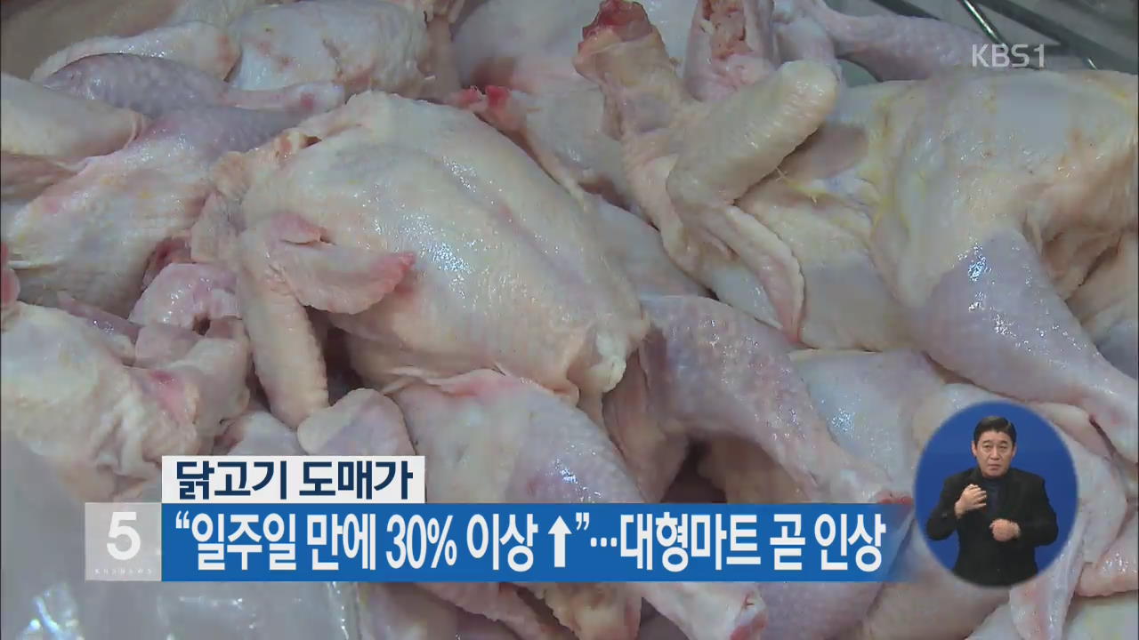 닭고기 도매가 “일주일 만에 30% 이상↑”…대형마트 곧 인상