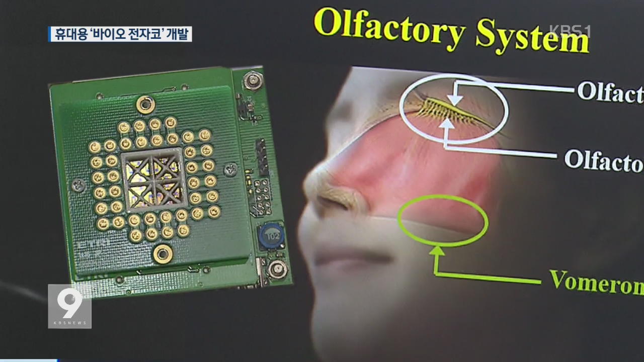 [앵커&리포트] 명함 크기 ‘바이오 전자코’ 개발…썩은 음식 ‘척척’
