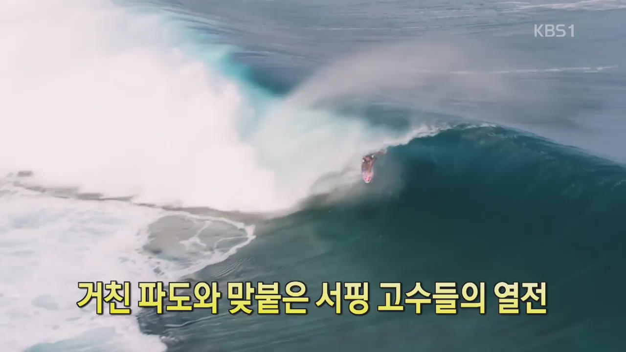 [디지털 광장] 거친 파도와 맞붙은 서핑 고수들의 열전