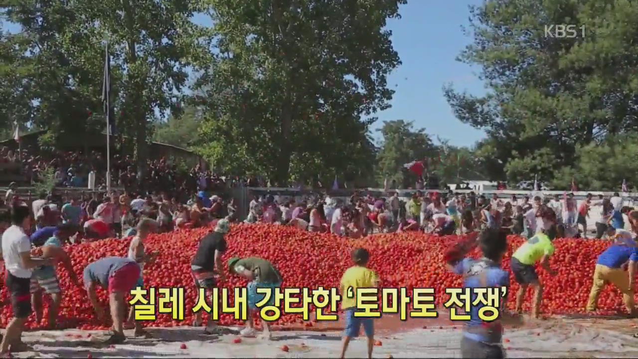 [디지털 광장] 칠레 시내 강타한 ‘토마토 전쟁’
