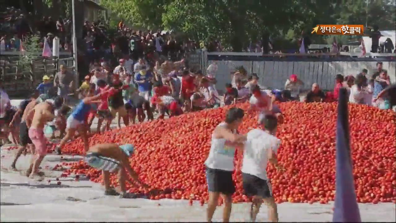[핫 클릭] 칠레 여름 축제 ‘토마토 전쟁!’