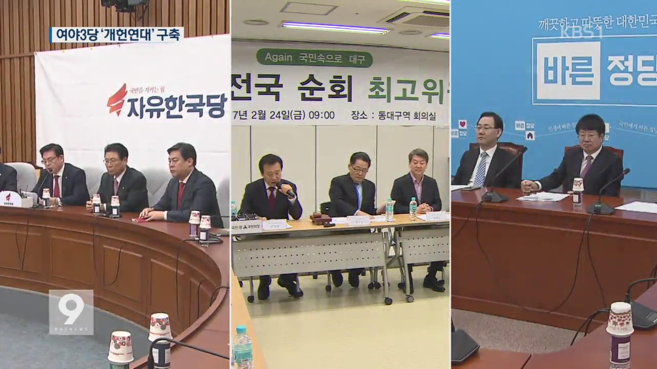 여야 3당 ‘개헌 연대’ 구축…文 “대선 전 반대”