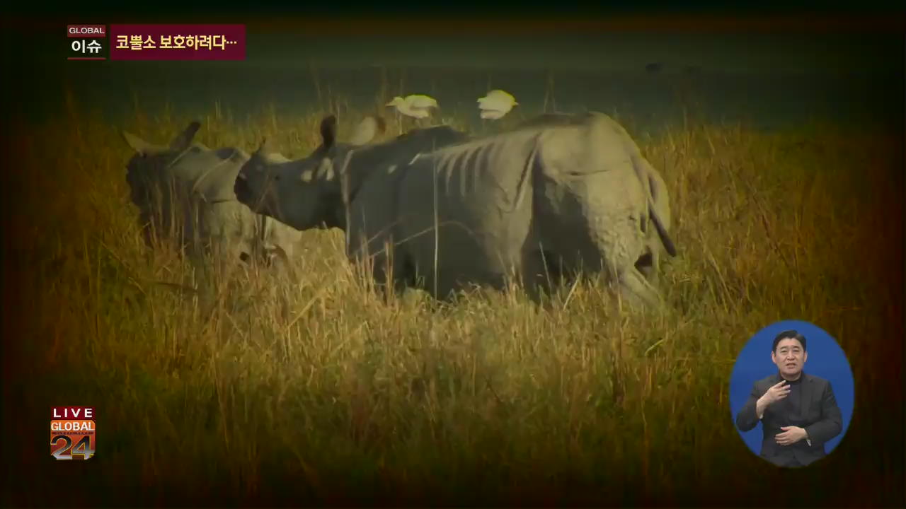 [글로벌24 이슈] 주민 희생시키는 ‘코뿔소 보호’