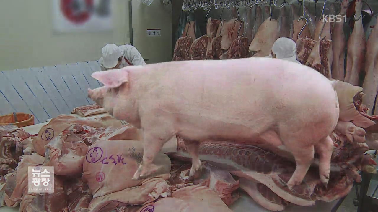 삼겹살 대신 앞다리?…돼지고기 소비 패턴 바뀐다