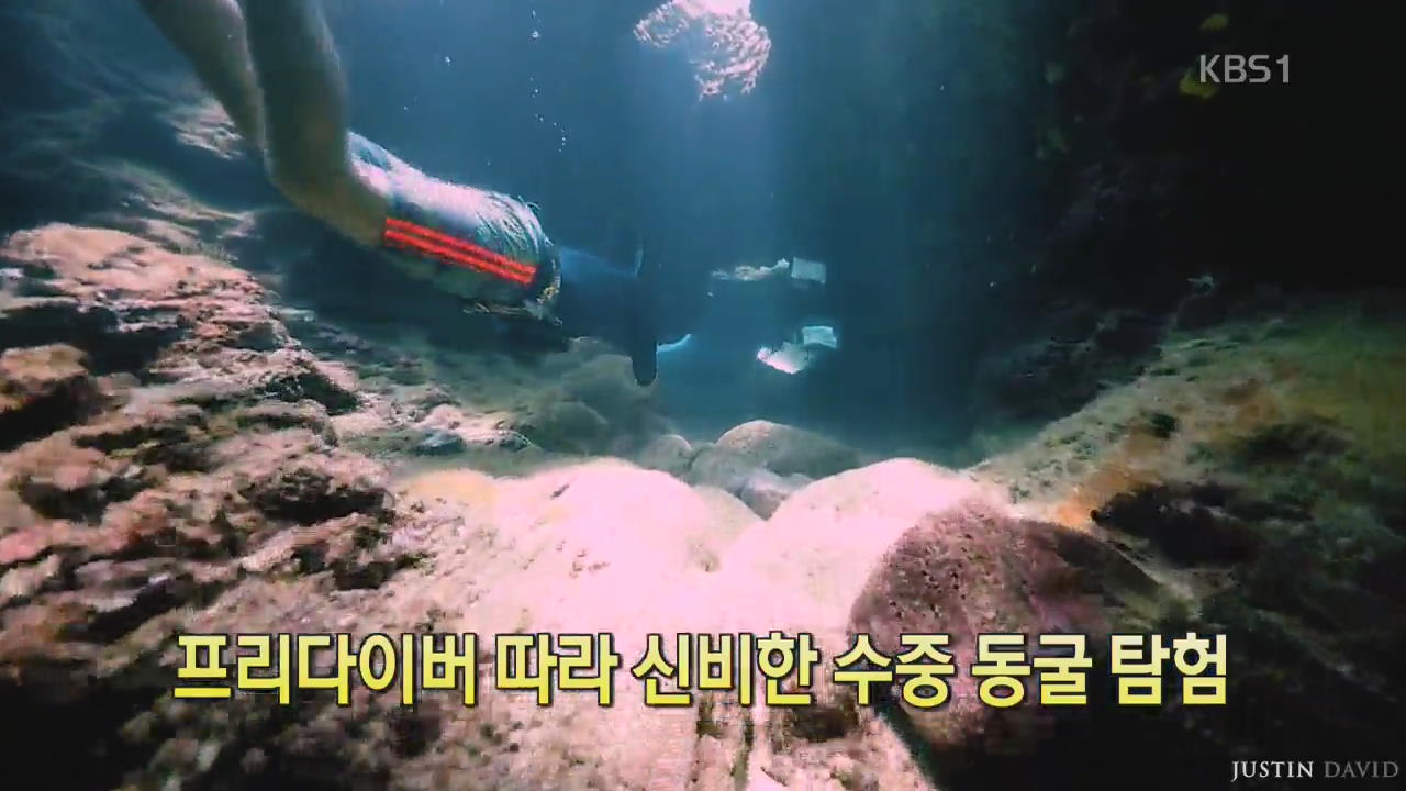 [디지털 광장] 프리다이버따라 신비한 수중 동굴 탐험